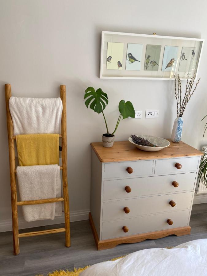 Stylish With Terrace